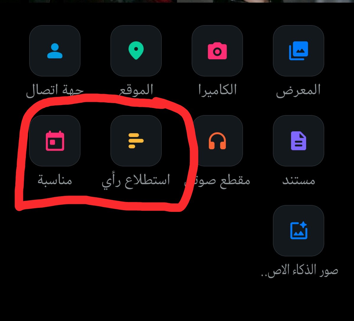 Honey bear 🍯 tweet media