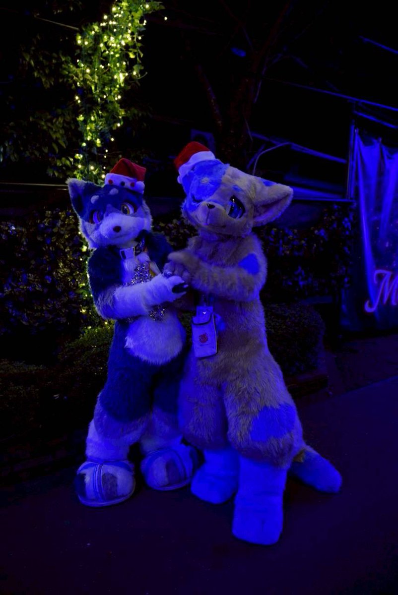 すやぁ〜💤みんないい子にしてた？
僕はいい子にしてたよ！！起きたら、チュール置いてあるかな〜？🐈💤
#FurryChristmas
#MerryChristmas