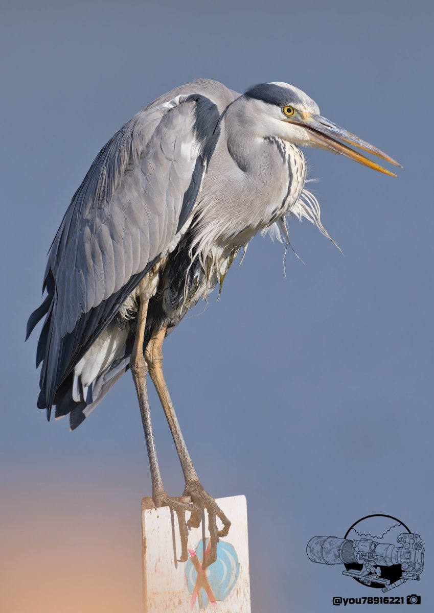 Uページ♡⃜ 六二二同学 (@sixtutu622) / Posts / X