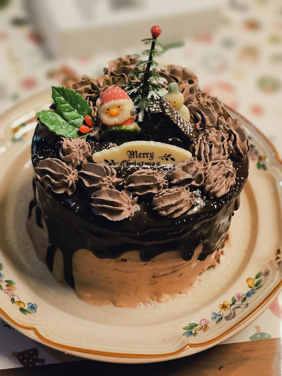 メリークリスマス🎄(*˙꒳​˙)
