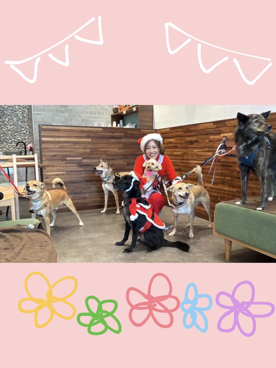 kse0913's tweet photo. 素敵なクリスマスプレゼント🎁

幸せな1日でした☺️✨ https://t.co/NYJctwciwM