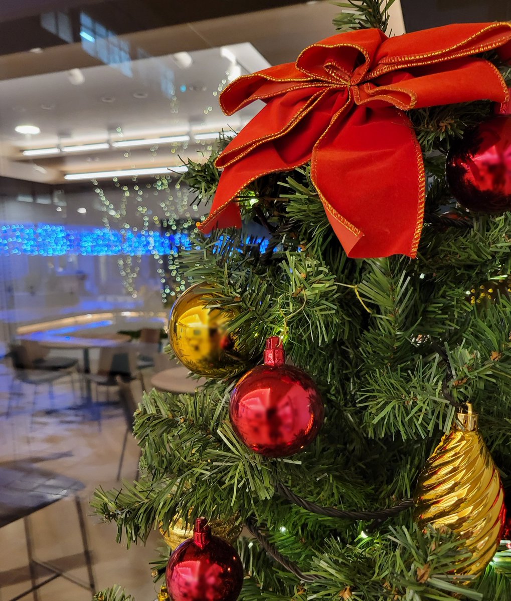 newsone863's tweet photo. 12/24のｎｅｗｓ ＯＮＥ
Merry Xmas🎄

特集は2025年9～12月の
群馬のニュース振り返り🖋️

アラカルト Ｖｏｉｃｅは
高経大放送研究会メンバーの
学生に聞いた
今年のプチ事件トークでした🤷

メッセージ＆リクエストも
お待ちしています

#newsone863 https://t.co/i3PVxCEuJc