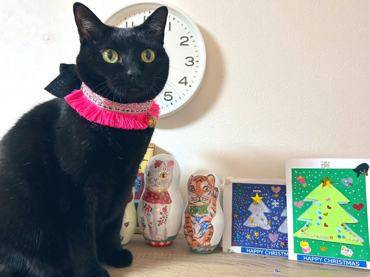 きのこのこのこ (@kinoco_neco1234) / Posts / X