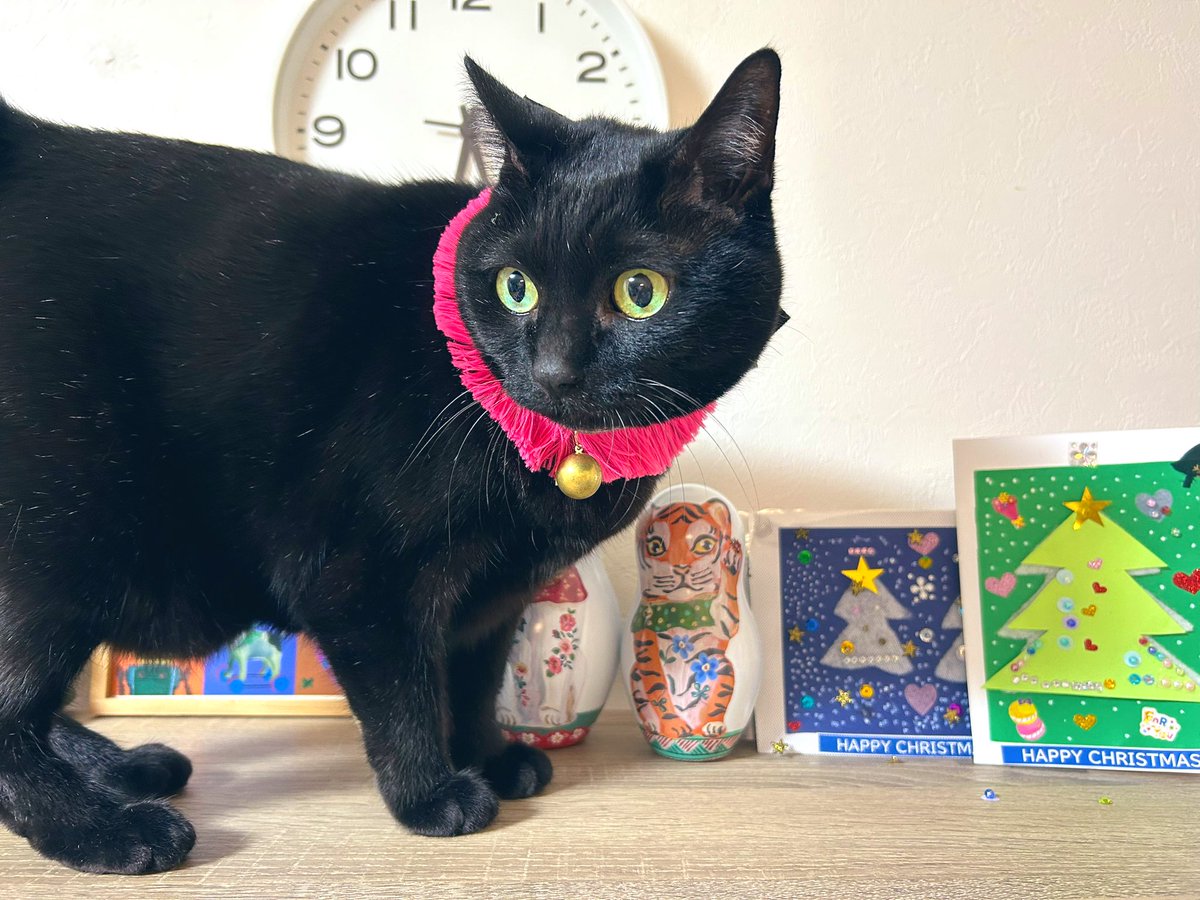 きのこのこのこ (@kinoco_neco1234) / Posts / X