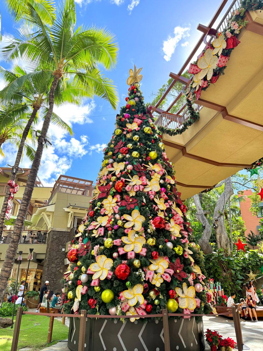 キャサリン☆ (@22kyasarin) / Posts / X