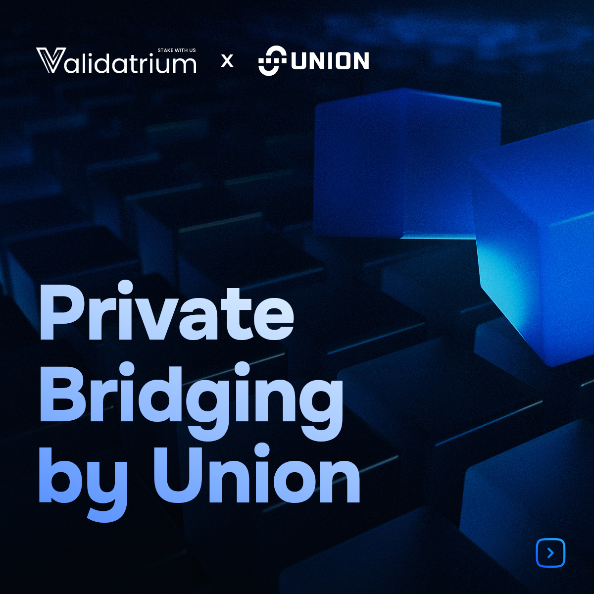 VALIDATRIUM tweet media