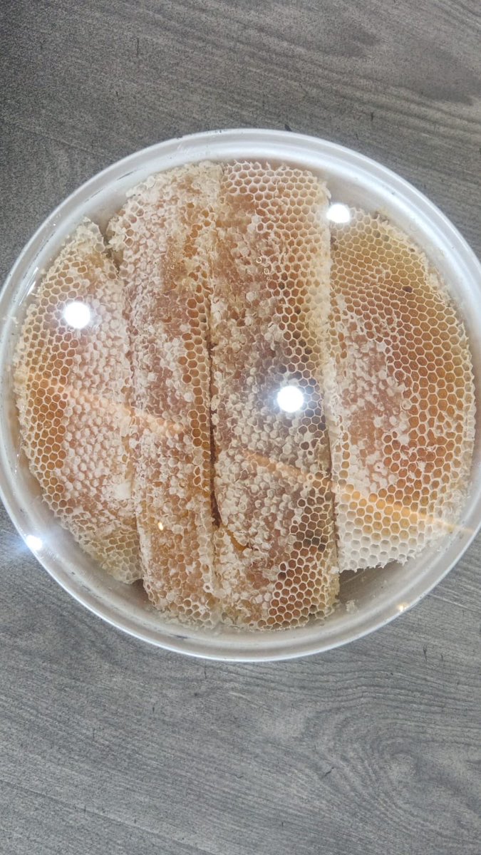 wr6an's tweet photo. 🍯 عسل سدر بلدي طبيعي  🐝

🌳من منبع العسل رجال المع 🌳

🔚 تم انتاج وقص جديد الموسم الان 1447  🍯

🍯 مضمون ومفحوص مخبرياً 100٪ 🔍

*ماعجبك العسل رجعه وخذ فلوسك*

⬅️ للتفاصيل أظغط على الواتس اب ↪️

https://t.co/Dk4mTjnLc0 https://t.co/r9ZChYA0am