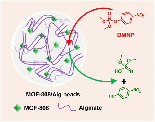 bhkenlo's tweet photo. Alginate Beads Embedded with Metal–Organic Framework Particles for Solid-Phase Detoxification of Organophosphate under Ambient Conditions | Inorganic Chemistry https://t.co/YE2WkdQFOp Luo, Zhang, Ren, & co-workers @InorgChem #zirconium #MOFs #alginate #beads #detoxificaion #DMNP https://t.co/cHXJaqxSVZ