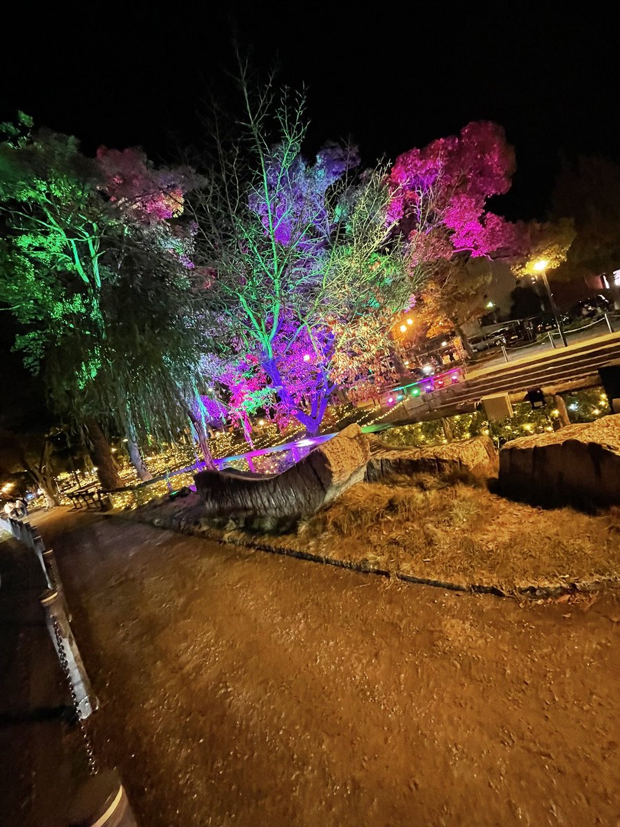 CLUB Shiny𝟭𝘀𝘁
ーOPENー
19:00〜LAST！
📍岡山市北区田町2-9-7リーセイントビル1F

明日25日はクリスマスビンゴイベント！
沢山の豪華景品ありっっ!!!
ご来店してくれた姫様方に特典あり！
沢山のご来店お待ちしてます🌟

#岡山
#ホスト
#Shiny𝟭𝘀𝘁
#クリスマス
#プレゼント