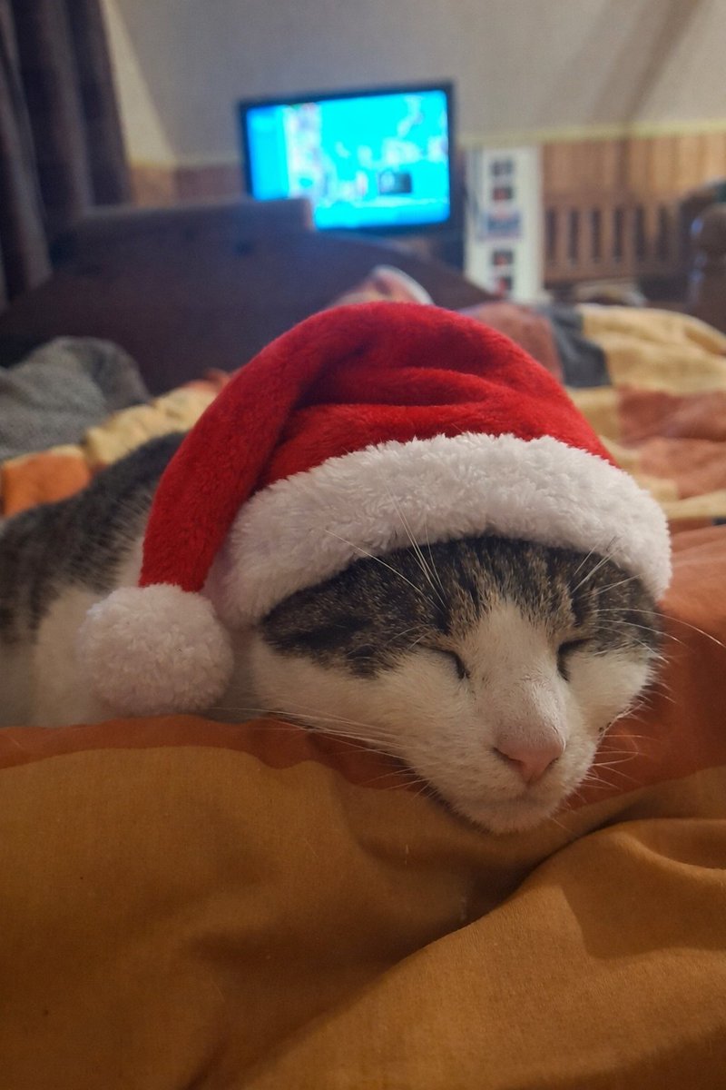 Fijne Kerstdagen namens mevrouw hier en mezelf.