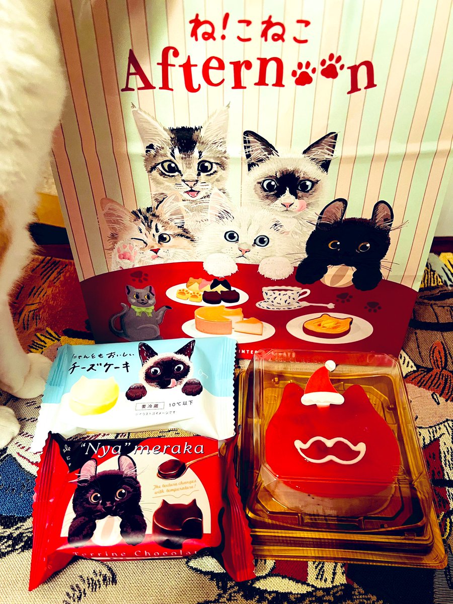 猫屋敷 (@harapeko234) / Posts / X