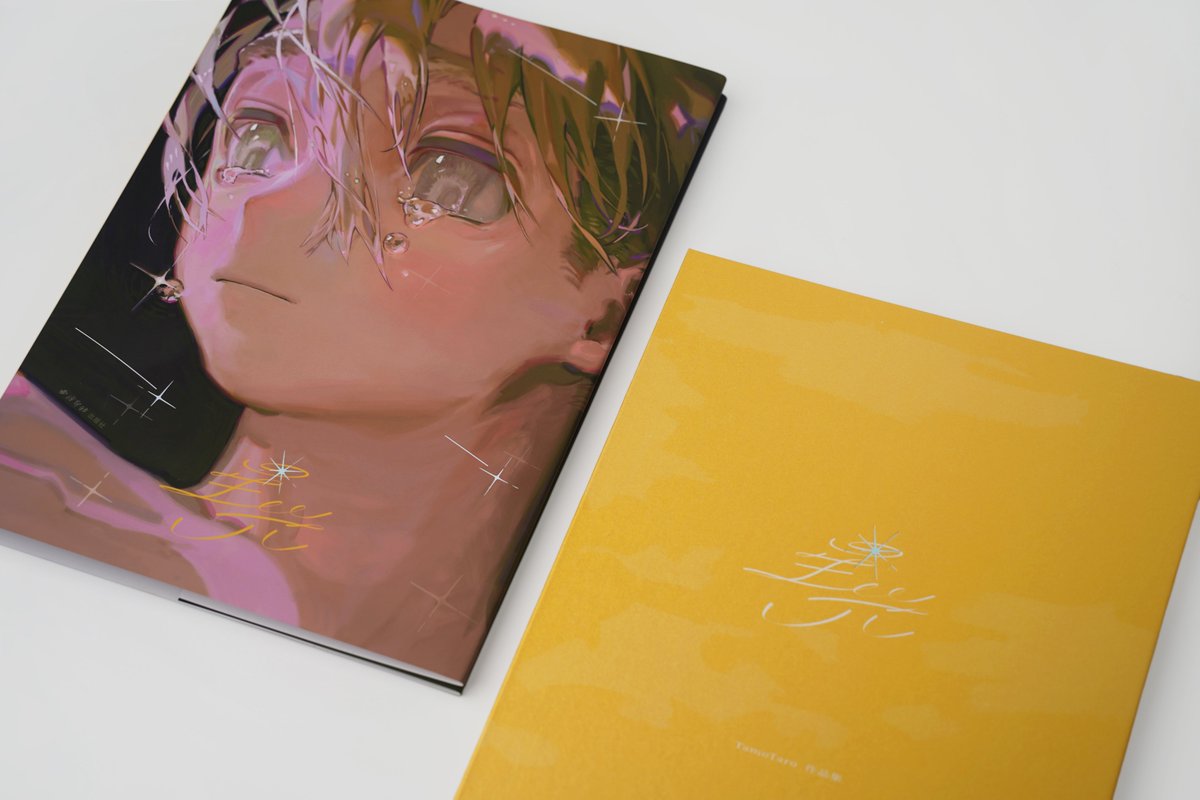 homi -original artbook 星光 on order tweet media