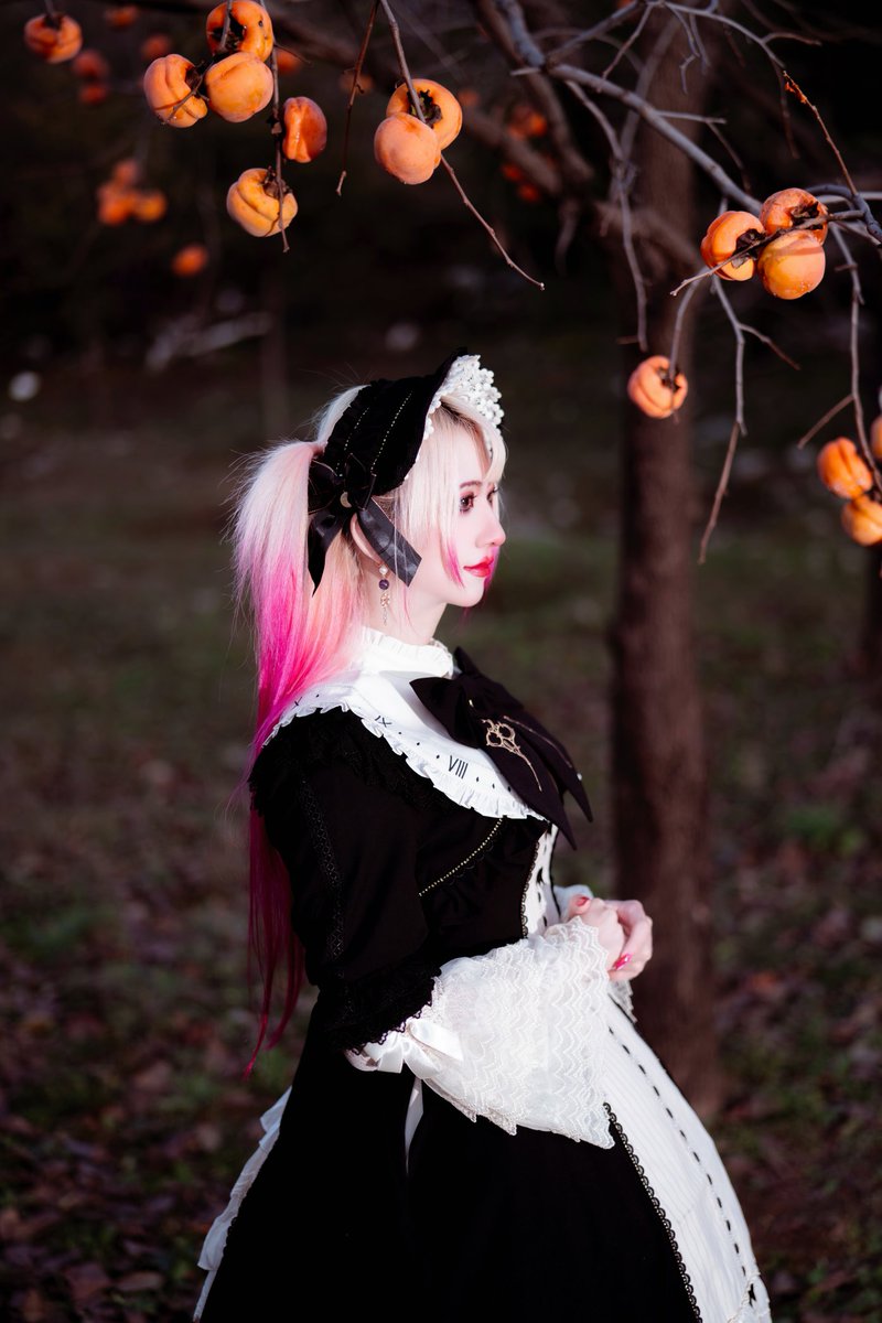 laceduvet's tweet photo. ✨Depths of Dim Forest✨ Part IV

👗: #losttree Die Zeithexe JSK Set
👠: Brigitte Hui Pumps 

📷: @roubao33

#lolitafashion #egl 
#duvetslolitafashionphotobook 
#sweetlolitafashion #sweetlolita https://t.co/GyqKkE0dER