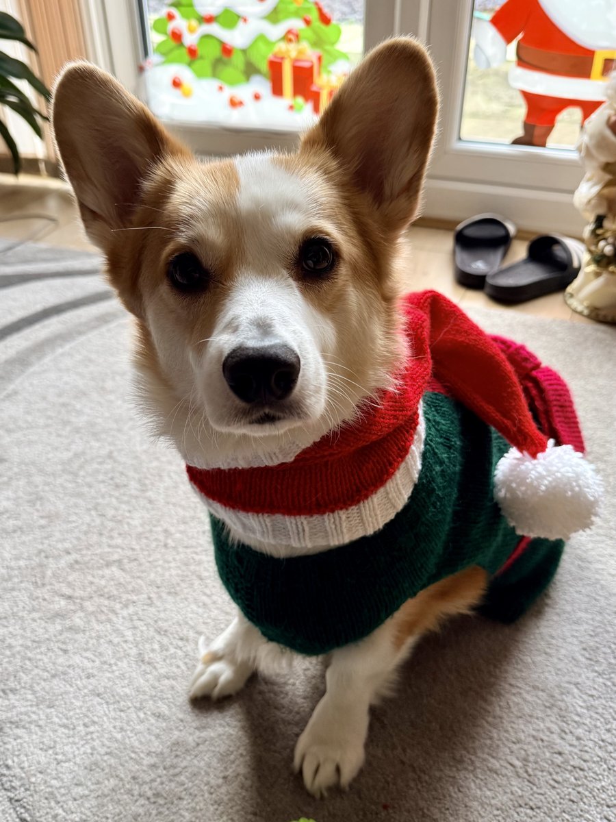 Merry Christmas! 🎅