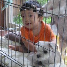 คุณเมเม่ tweet media