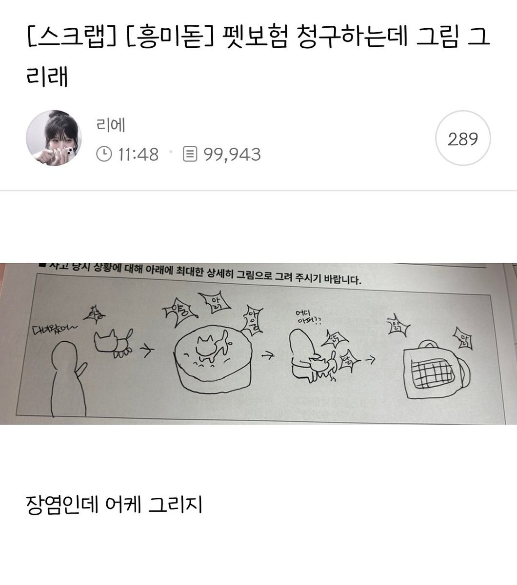 펫보험 청구하는데 그림 그리래
