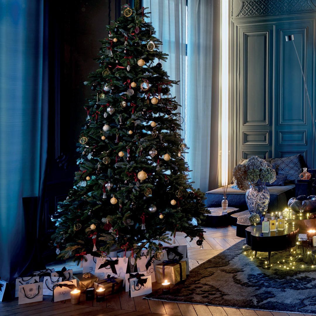 LALIQUE _shoooooshi (@okayamalalique) / Posts / X