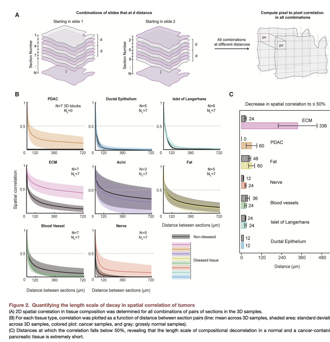 Denis Wirtz tweet media