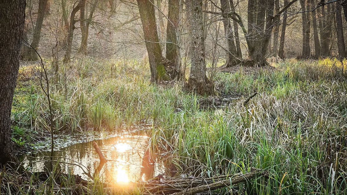 Sărbători în tihnă tuturor, din tihna Centurii Verzi. 🙏