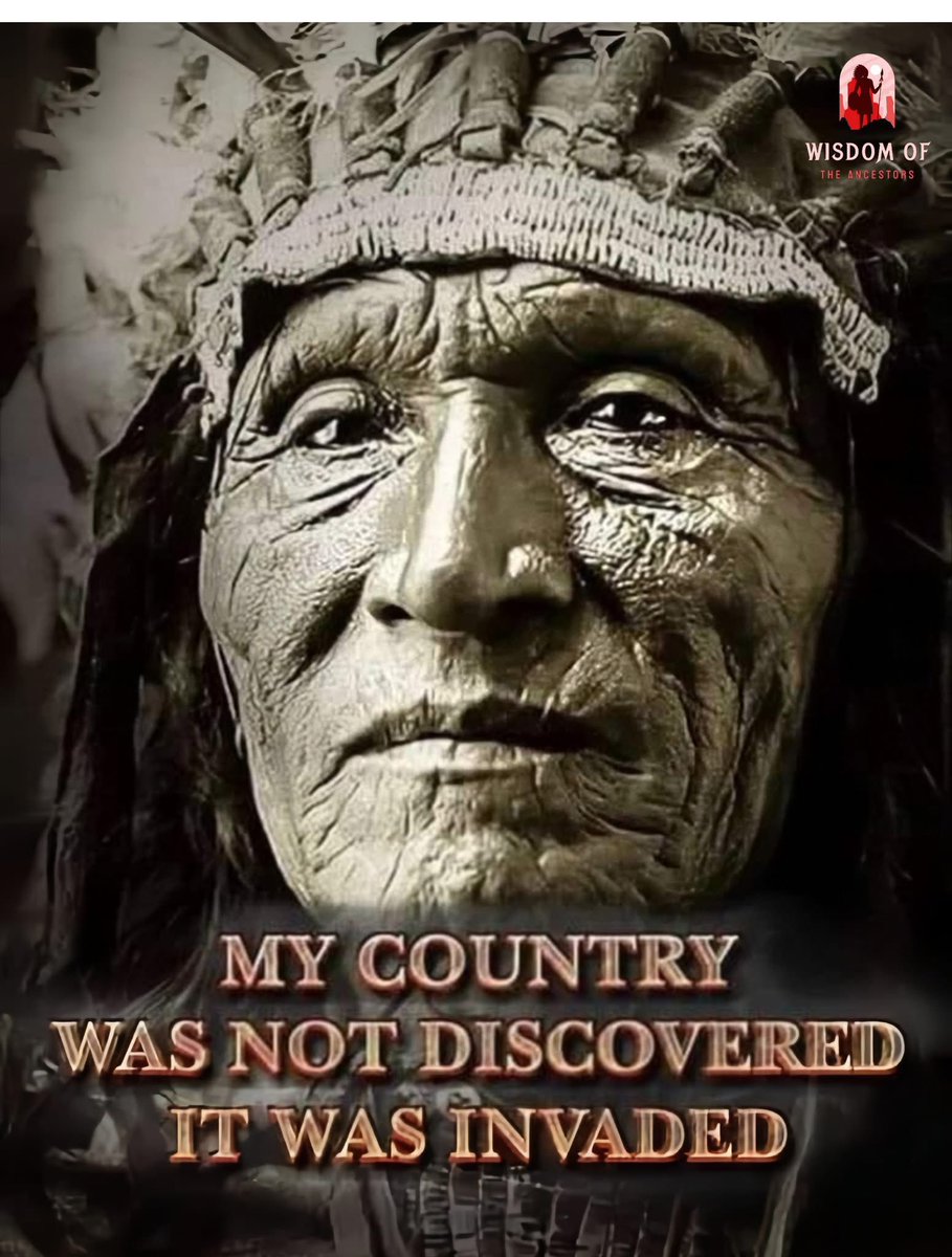 Native American Pride tweet media