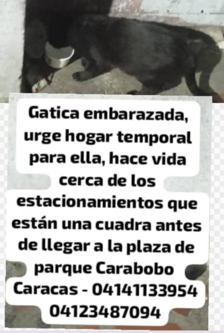 Caso de 3ros en la ciudad de Caracas 🇻🇪🇻🇪🇻🇪👇👇👇 por favor difundir 🙏🙏🙏