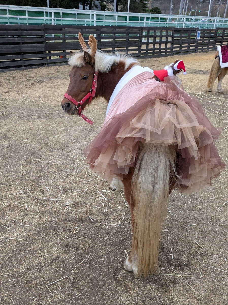 ふぁむ (@phantom0730) / Posts / X