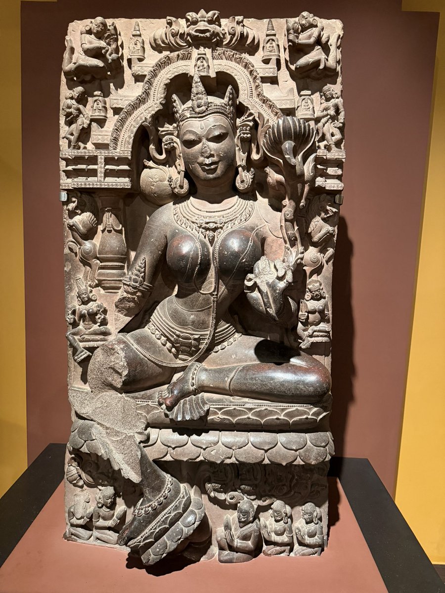 The collection is massive—prehistoric artifacts, stunning terracotta, and the iconic Yakshi. If you’re in Patna, this is a non-negotiable stop. Truly "Pataliputra" brought to life in the most modern way possible. 

The History Galleries take you chronologically from the Mauryan