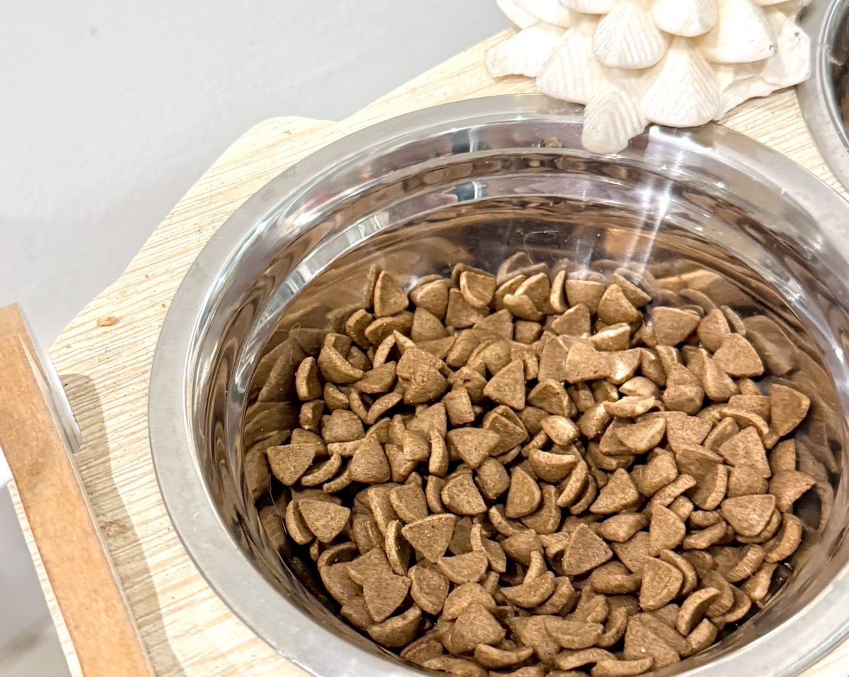 ttarntalzonel's tweet image. 🎄🤶เรามันทาสแมวอยู่แล้วคริสต์มาสก็ต้องมีของขวัญให้สักหน่อย นี่เลือกอาหารแมวรส 🦃Turkey &amp;amp; White Fish ของ Animeals ชอบคอนเซ็ปเค้าอ่ะ FROM FARM TO BOWL จากฟาร์มสู่ชามน้อง เป็นอาหารแมวพรีเมียมที่คัดสรรจากฟาร์มคุณภาพเลย เกรดส่งออกปลอดภัยมากๆ อันนี้เป็นสูตร Sensation…