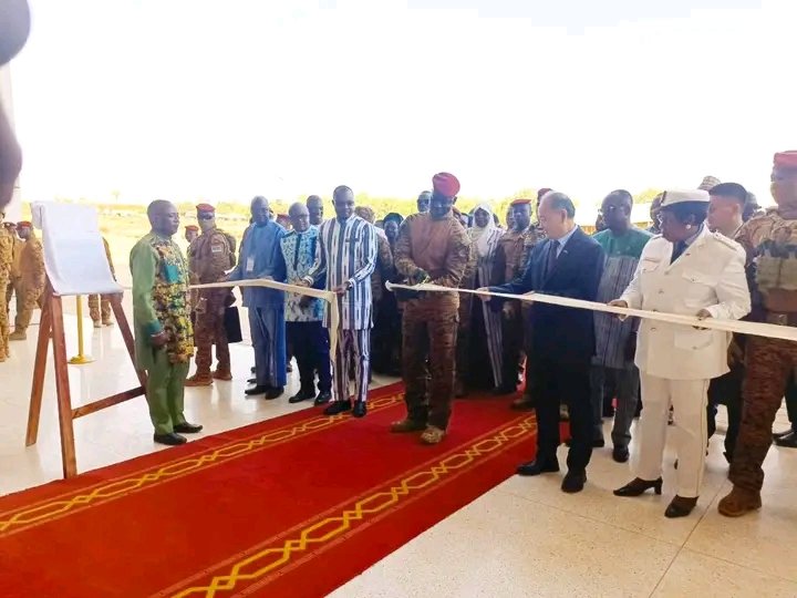 Lionne du Sahel tweet media