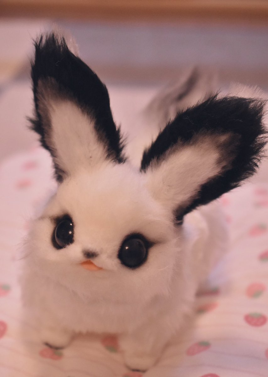 Teritre Doll/テリトルドール (@teritre_doll) / Posts / X