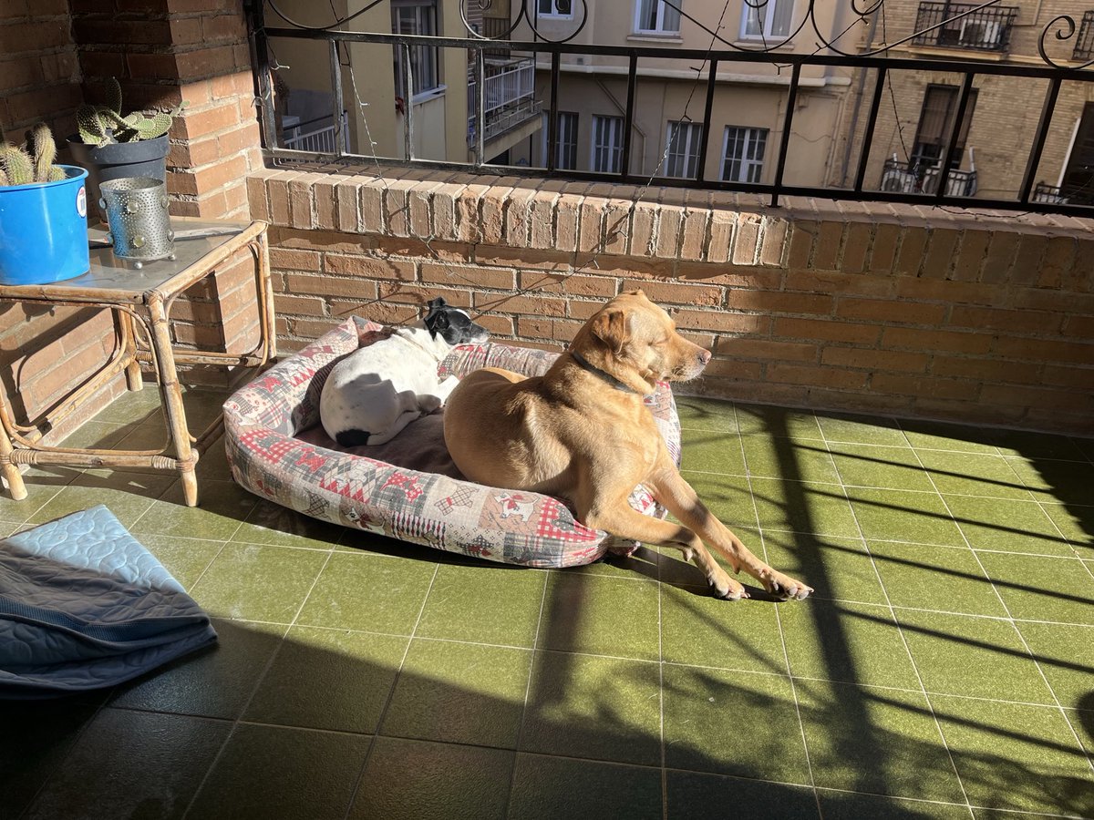 Josemi (@josemigr52) on Twitter photo 