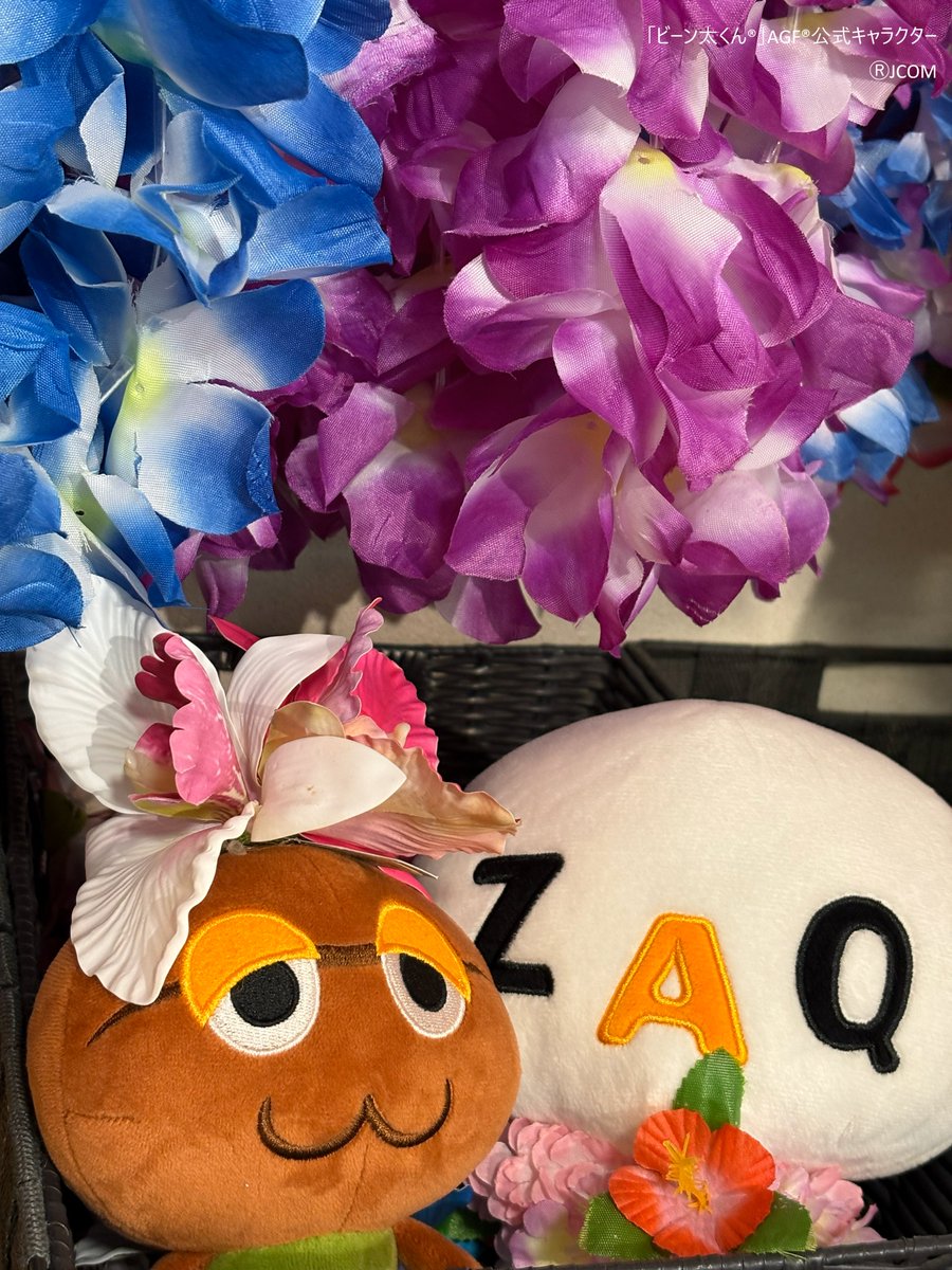 ざっくぅ【公式】 (@zaq_official) / Posts / X