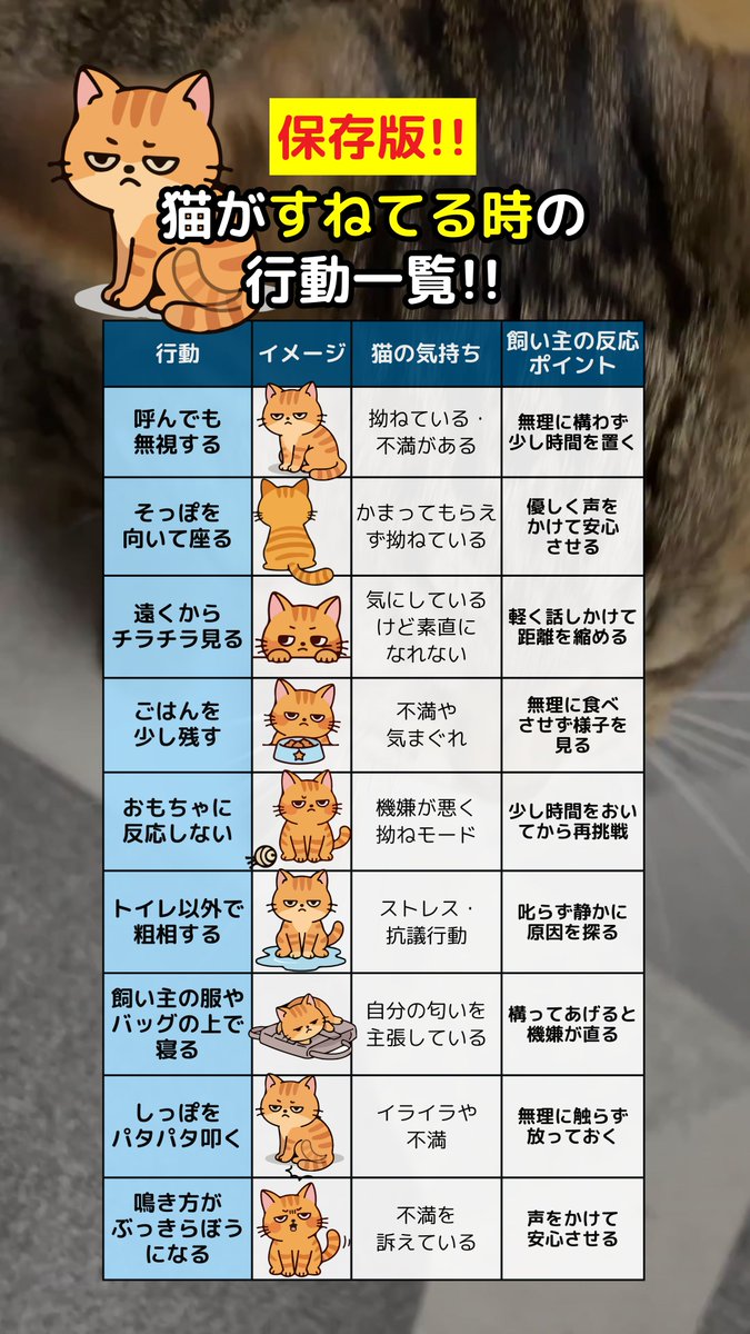 明智カィネ (@AkechiKynest) / Posts and Replies / X