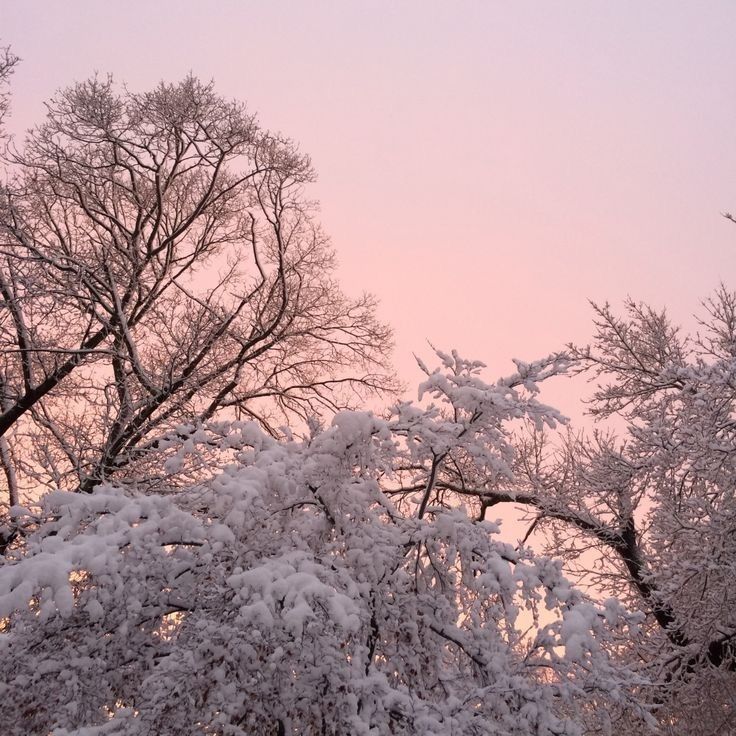 IsartMysoul's tweet image. 