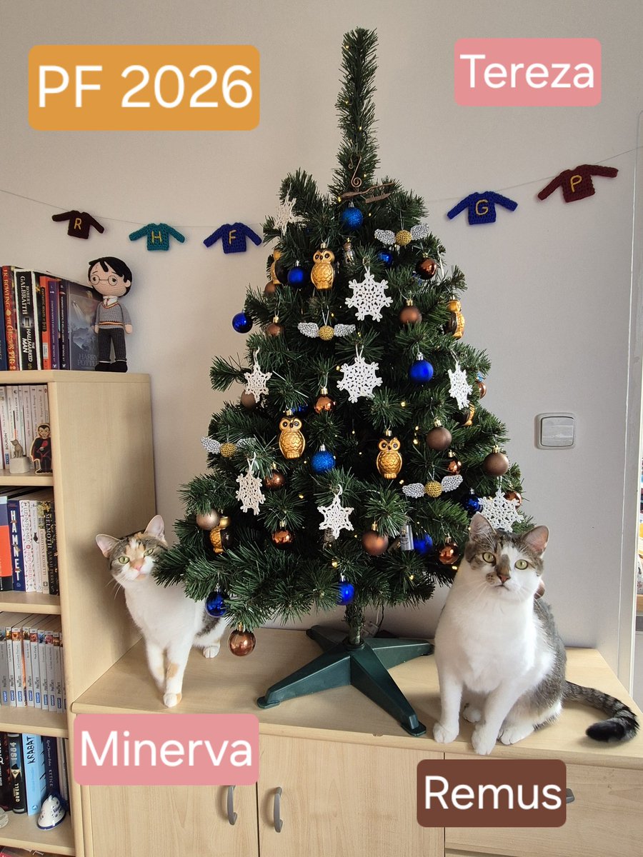 There's a strong tradition in Czechia of sending "PFs" around Christmas, wishing everyone good luck for the upcoming year. Merry Christmas and a happy New Year, everyone!