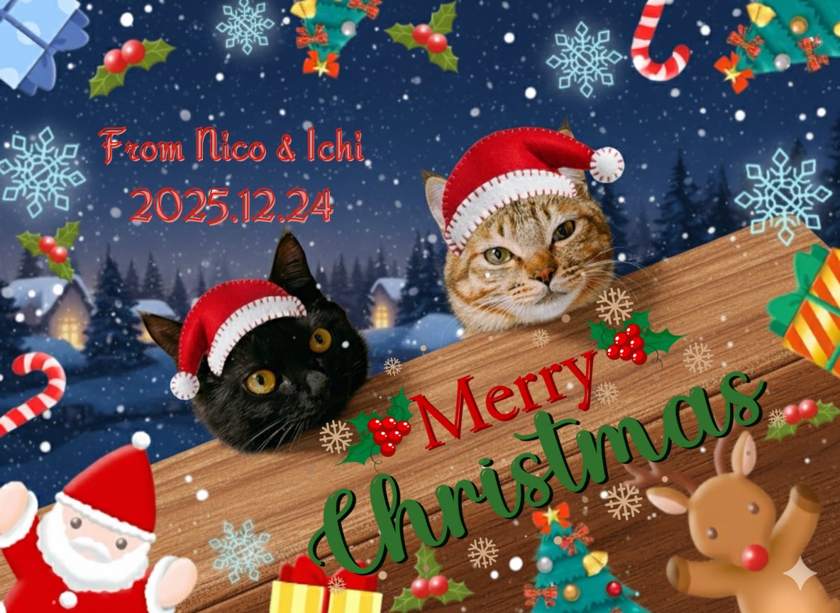 sachibudou's tweet photo. 🎄✨ MERRY CHRISTMAS 🎁🎅  
This is my family photo 🤍🐾

With my sweet cat  
and love that stays forever ✨

🎅🎁ニコイチ🐈‍⬛ 🐈のサンタさんへ🧑‍🎄
https://t.co/bcaHbOShvC https://t.co/R6eemXlkgs