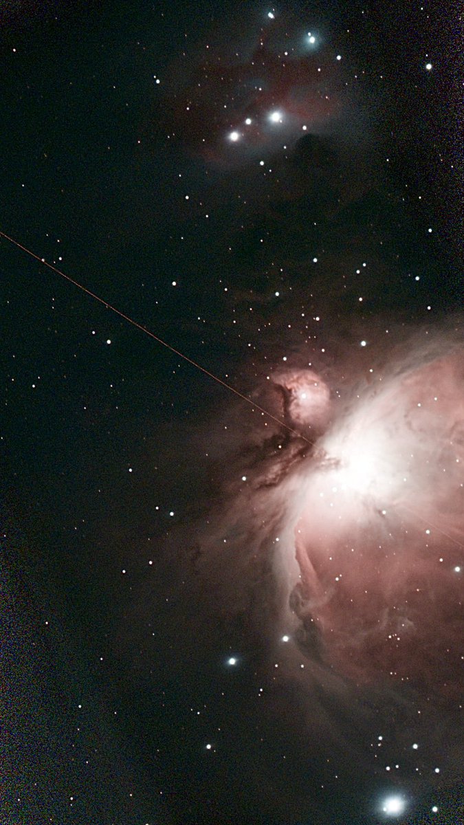 Prof Raman Prinja MBE tweet media