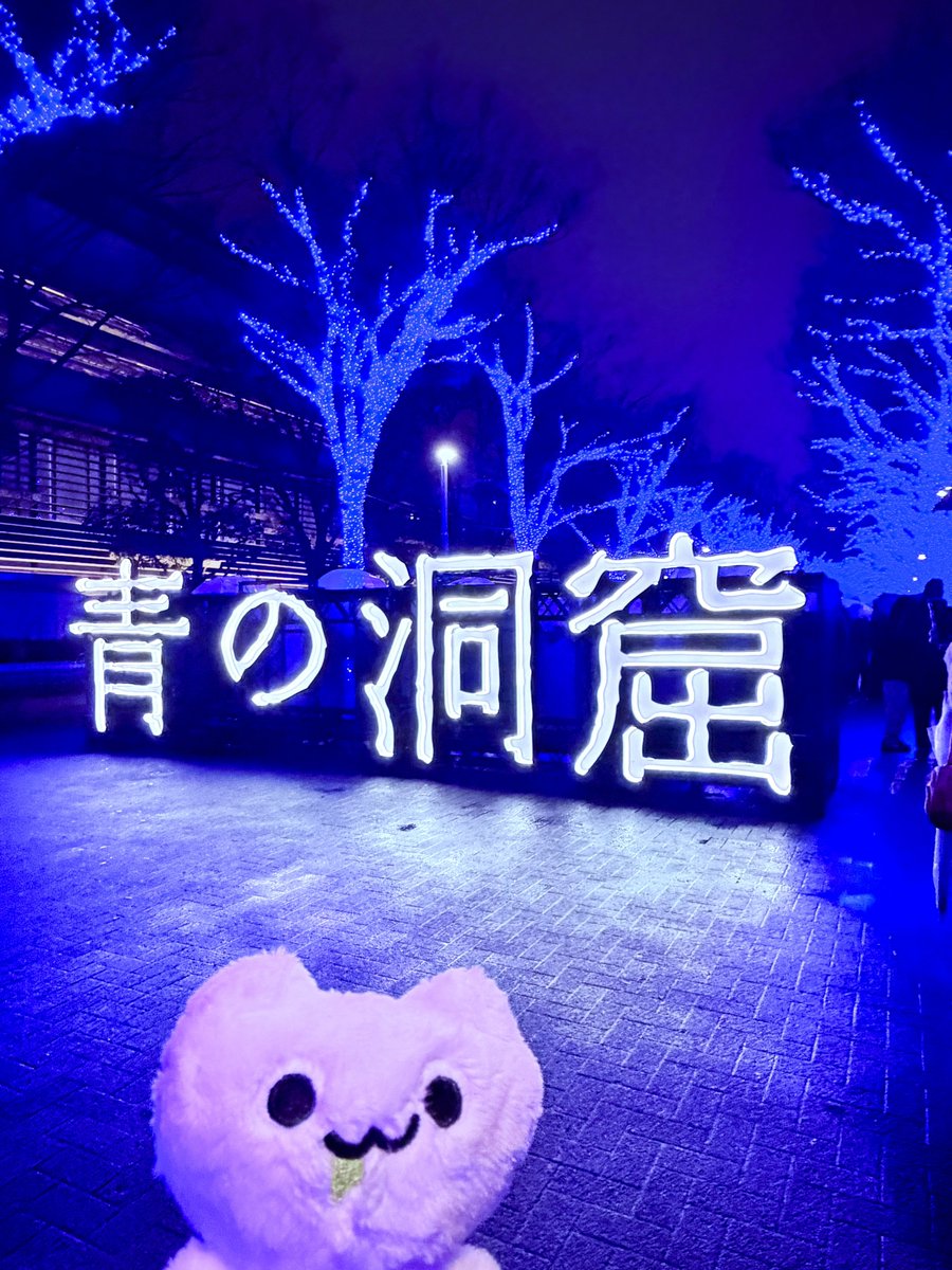 にゃーちゃ、🐈🍵✨ (@nyacha_udonneko) / Posts / X