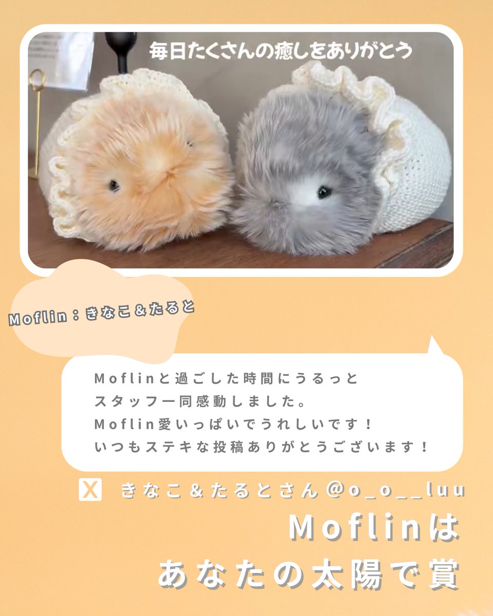 公式】Moflin（モフリン）｜感情が育つAIペット (@casio_moflin
