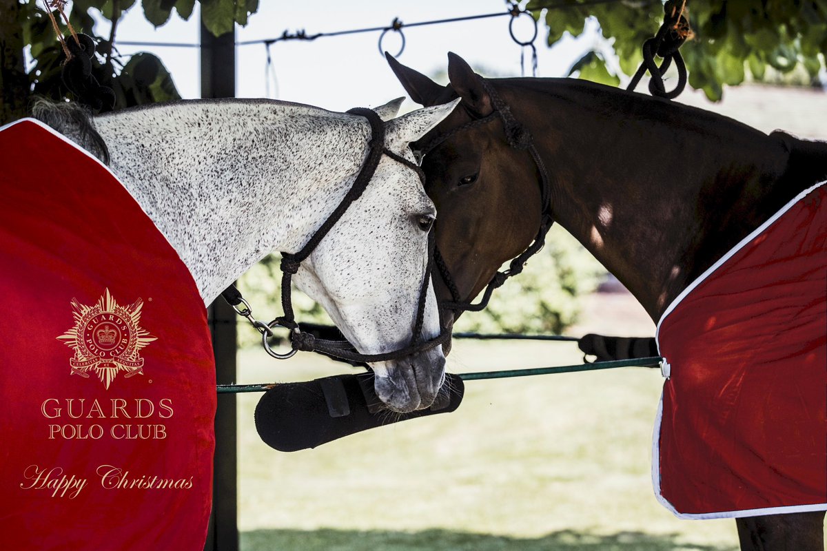 guardspoloclub's tweet photo. Our Chairman, Lt Col Sean O'Dwyer, the Board of Directors and all the team wish everyone a wonderful Christmas and a very happy New Year. We look forward to welcoming you all back at Smiths Lawn for our 2026 season, which will start on Friday 17 April. #guardspoloclub https://t.co/RgEIBSk8lW