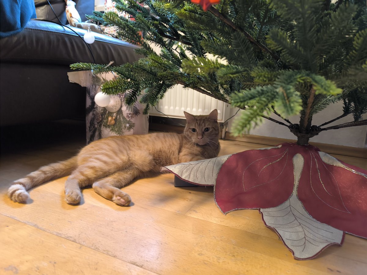 Lenn! Lennrey! tweet media