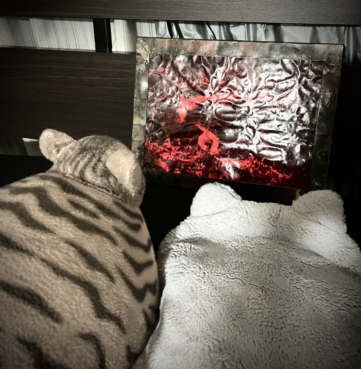 DJ ねこちぃねこちぃ a.k.a 廃店長 (@H_a_I_t_e_N) / Posts / X