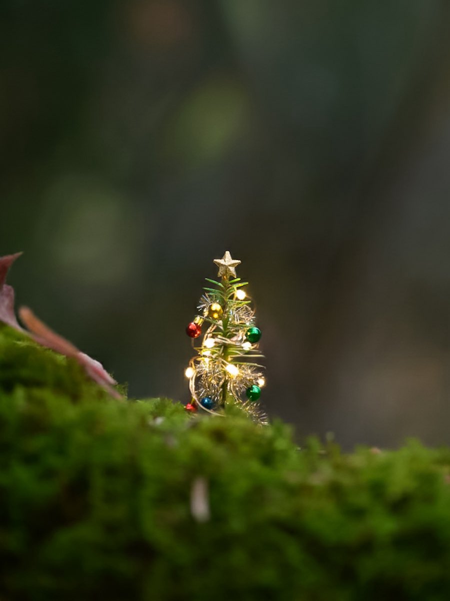 めぐ｜写真 (@TwinsMeg11) / Posts / X