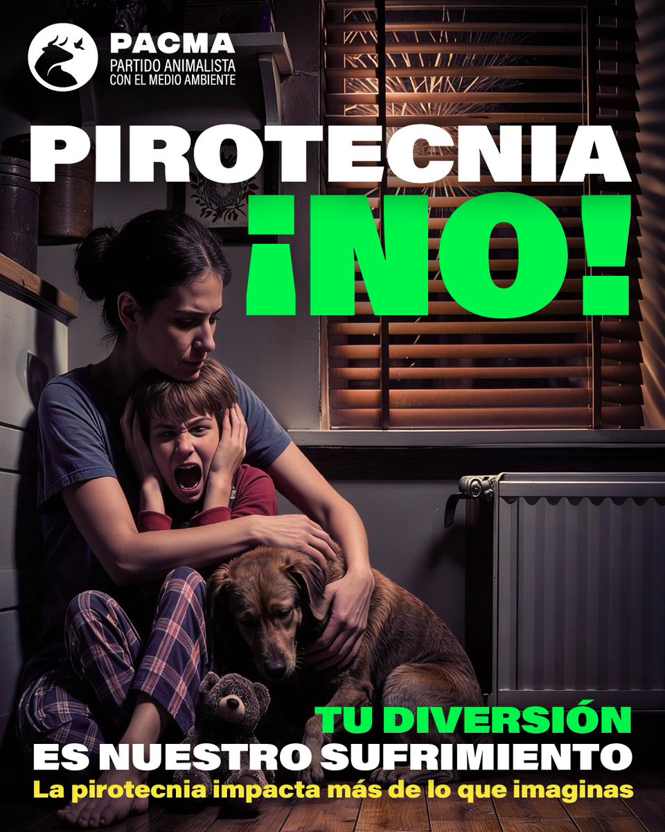 PartidoPACMA's tweet photo. 🤯¿Sabes que los petardos ponen en riesgo la vida de miles de animales?

🙏Por favor, esta Nochebuena, evita tirar petardos. Los perros y otros animales sufren terriblemente por los ruidos provocados por la pirotecnia. Además, también las personas sensibles lo pasan fatal.

🎉¡Un gesto lo cambia todo! Simplemente, ¡no tires petardos!

#TuDiversiónEsMiSufrimiento #StopPirotecnia #NoALaPirotecnia #ÚneteALaRevoluciónVerde #ÚneteAPACMA