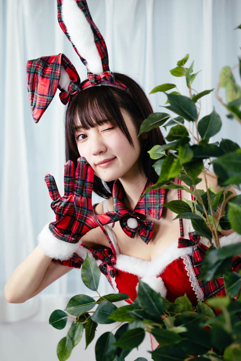 春さま確認ページ♡ カードガチャ 新春!色紙コレクション2025 ｜ Z/X - Zillions of enemy