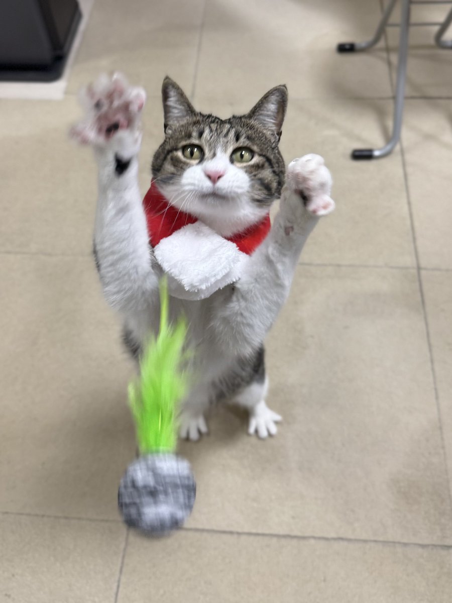 ぎんにゃん Amazon.co.jp: 仮面ライダー レジェンドライダーシリーズEX 仮面