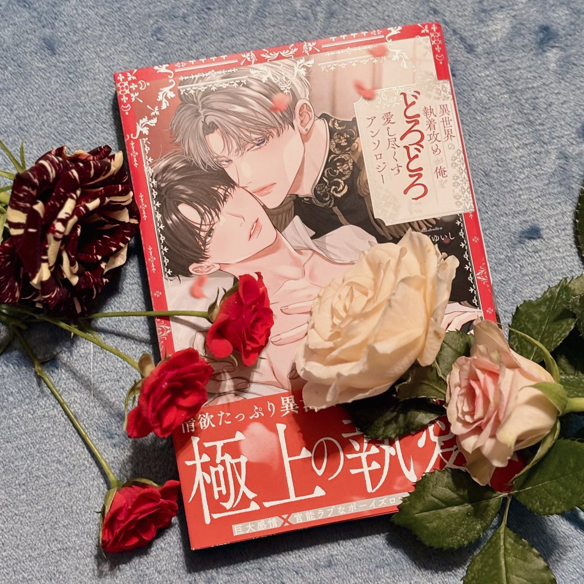 #俺どろアンソロ 献本いただきました！(セクシー判定されそうな部分は一応隠させていただきました🌹)