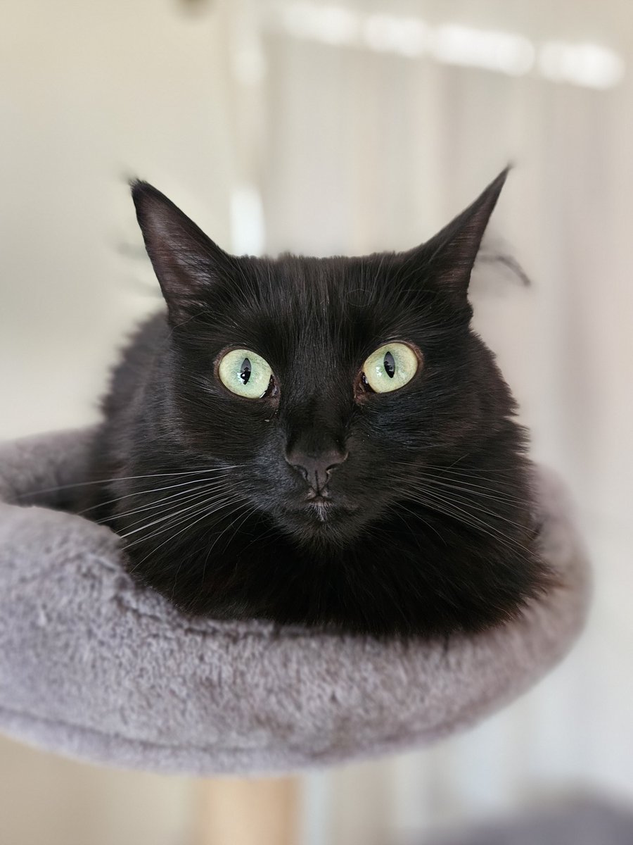 Reporting for Christmas