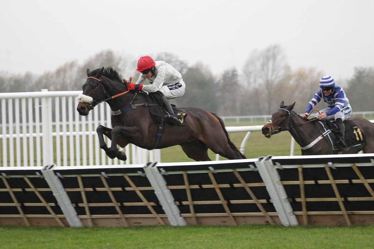 RPWeekender's tweet image. 🗣️ "We've always liked him and his schooling has been fantastic."

The @kimbaileyracing team have enjoyed a great start to the season - read all about their exciting string of young horses in this week's @RPWeekender.
It's a must read!