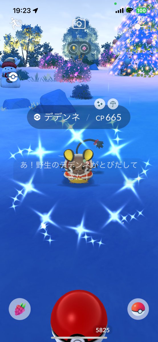 oni_kobu's tweet photo. 池袋サンシャインシティに行ってたけどデデンネ出ず。でも帰宅直後に自宅で出していくぅ〜🤣🤣 https://t.co/HW1uB5Xr6S